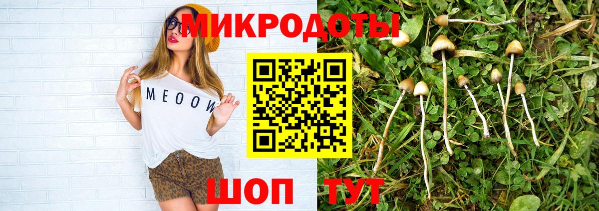 Псилоцибиновые грибы мицелий Новый Уренгой