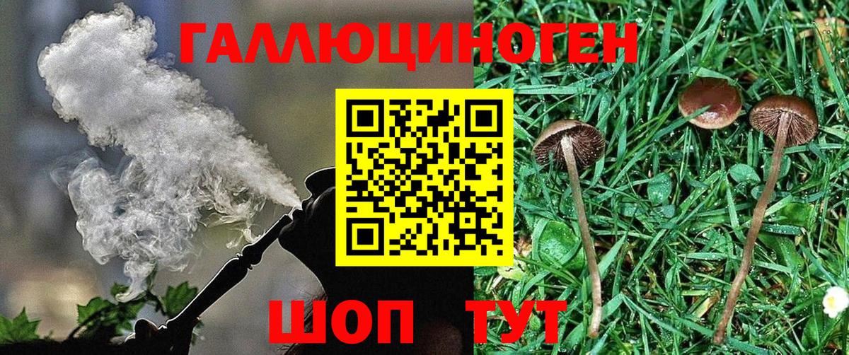 Галлюциногенные грибы Magic Shrooms  Галлюциногенные грибы Psilocybe  Вход с VPN  Новый Уренгой 